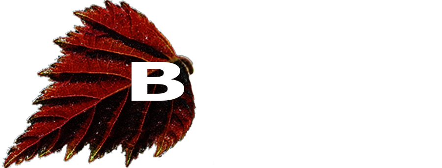 Caffe barr Bistro Breza